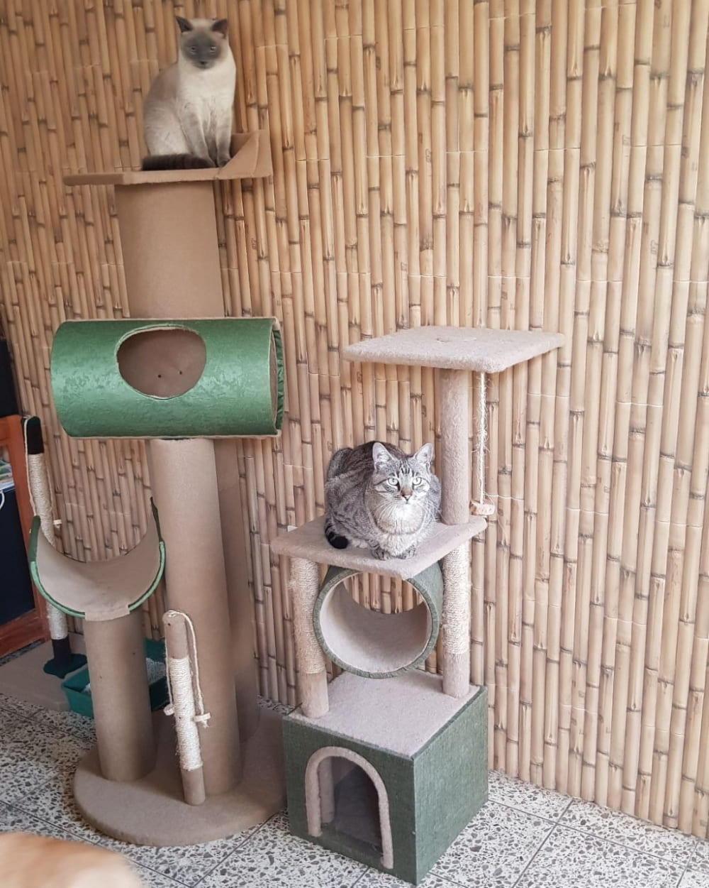 Torre con rascador para gatos.