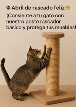 oferta-rascador-abril-300
